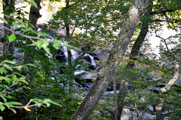 Chapman Falls thru the trees