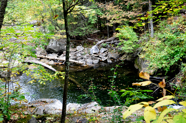 fall foliage at Kent Falls