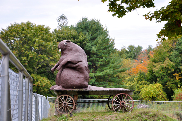 A giant beaver on a wagon