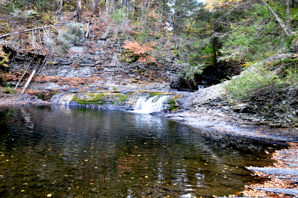 Raymondskill Falls 