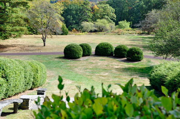 a well-maintained lawn