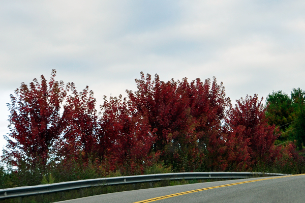 fall foliage in Pennsylvania 