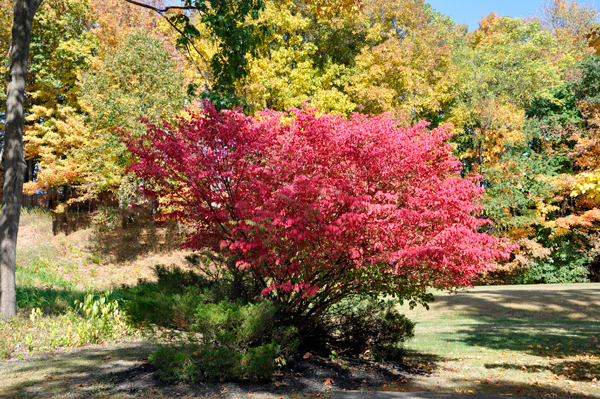 fall foliage in Pennsylvania 