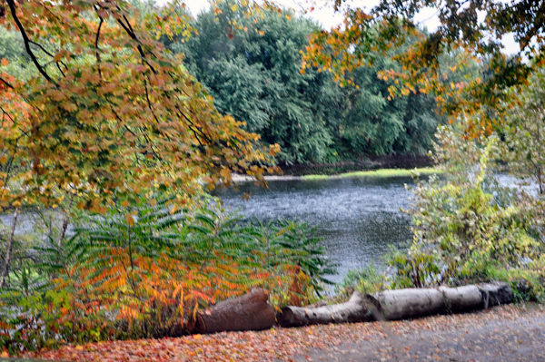 fall colors and the Delaware River