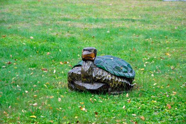 turtle sculpture