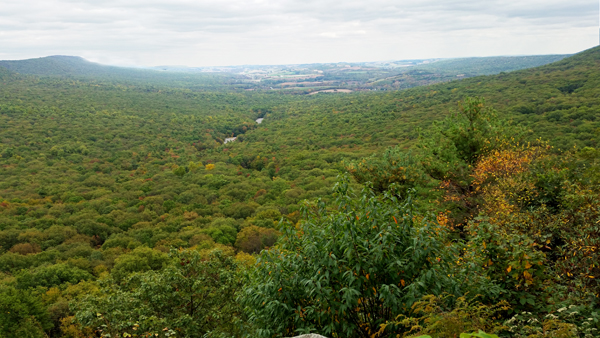 view from North Lookout