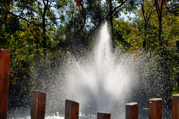 water fountain in the campground