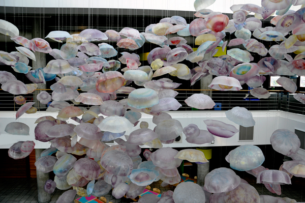 Jellyfish replica's decorate the ceiling