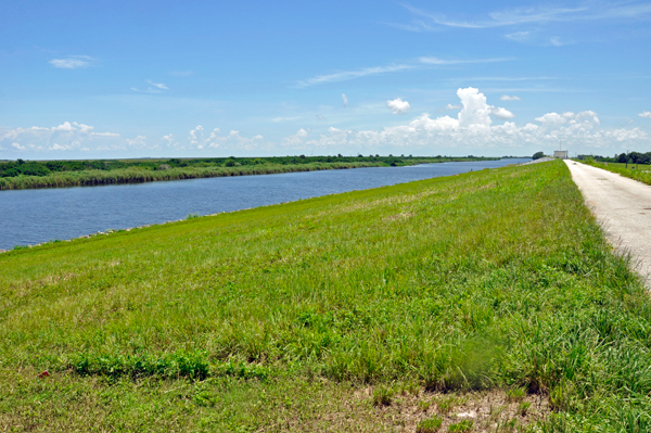 berm by Lake Okeddchoobee