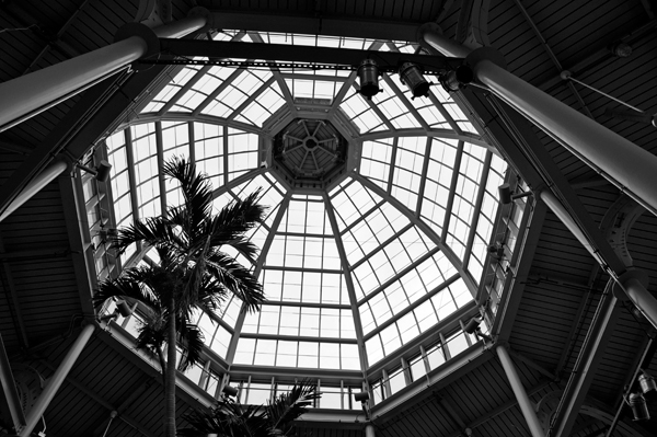 atrium ceiling