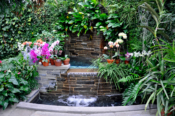small indoor waterfall and plants