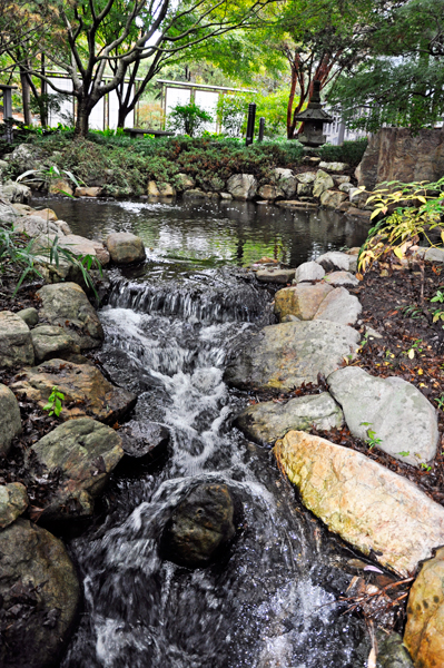 pond and stream in the tea garden