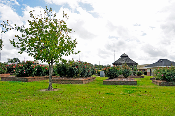 the  Wilson Rose Garden