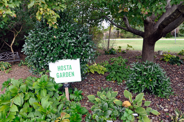 Hosta Garden sign
