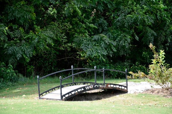 a bridge to the lilly pond