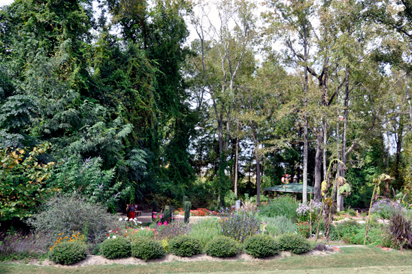 inside the Children's garden