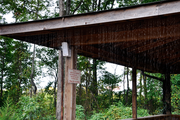 the rainwall at the tree house