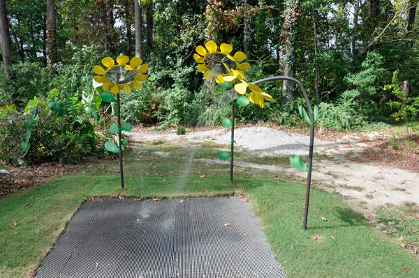 Sunflower Sprinklers