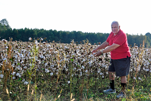 Lee picking cotton