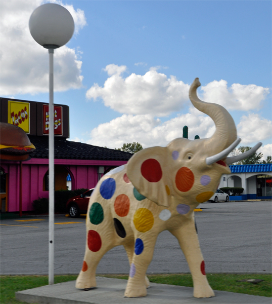 a spotted elephant