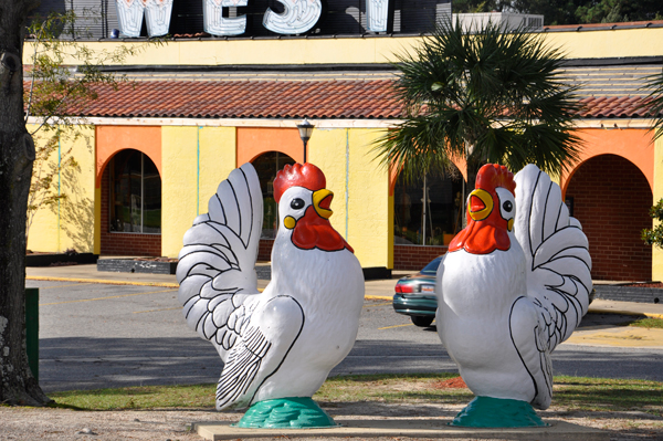 two big roosters