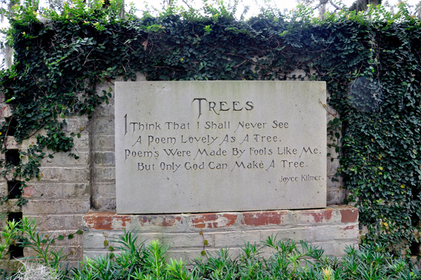 tree poem