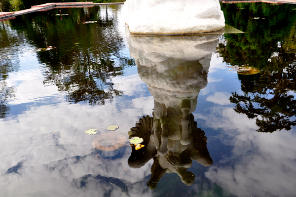 Pegasus reflection