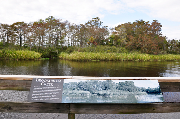 Brookgreen Creek