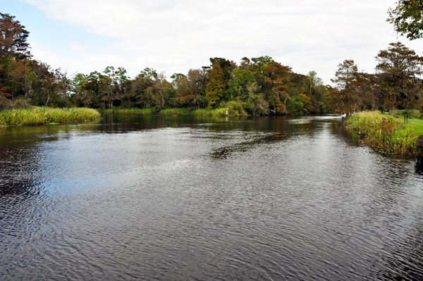 Brookgreen Creek