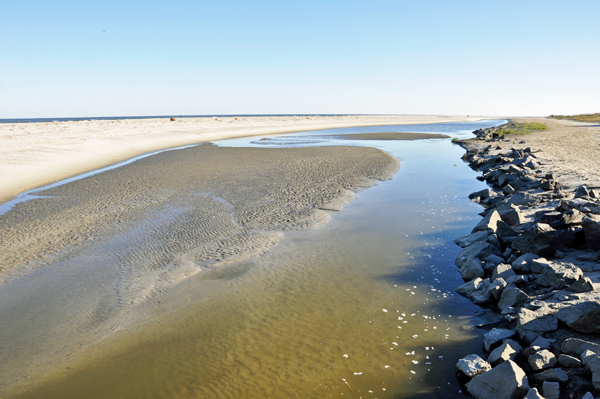 the beach