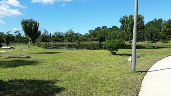 pond in the campground