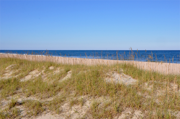 sand dunes andocean from North Beach Park