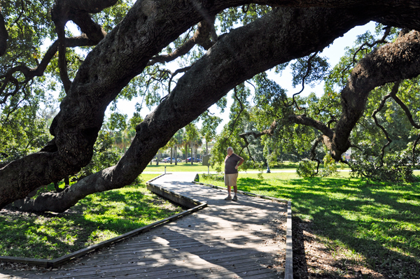 Lee Duquette and The Treaty Oak