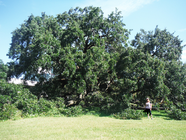 Karen Duquette by The Treaty Oak