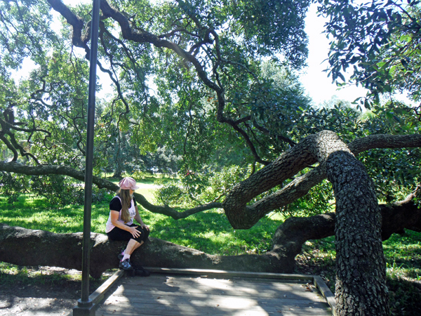 Karen Duquette and The Treaty Oak