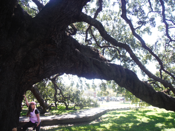 Karen Duquette by  The Treaty Oak