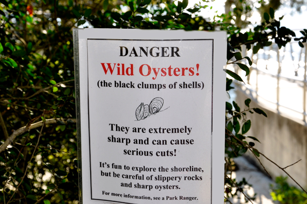 wild Oyster sign