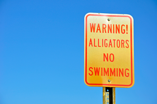 alligator sign