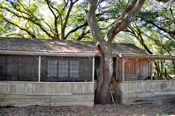 the tree house