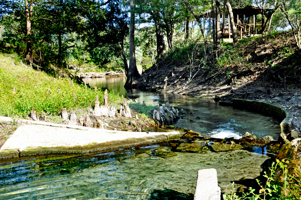 The spring leads out to the Suwannee River.