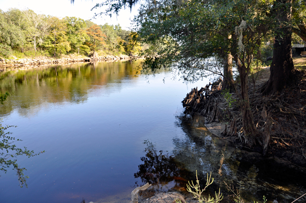 The Suwannee River 