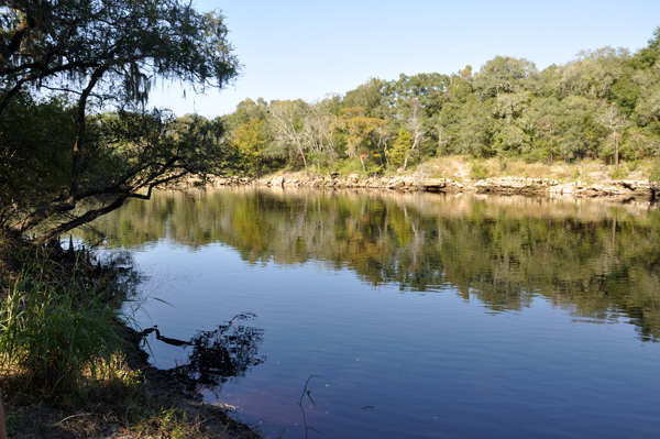 The Suwannee River 