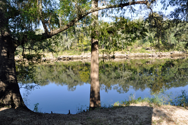 The Suwannee River 