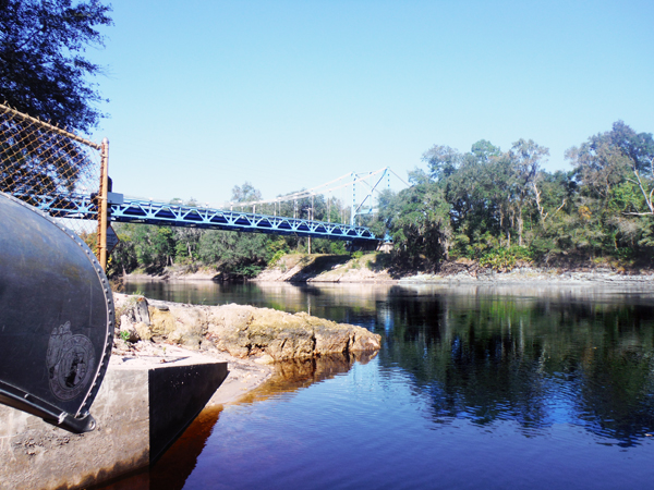 Suwannee River and Hal W. Adams Bridge