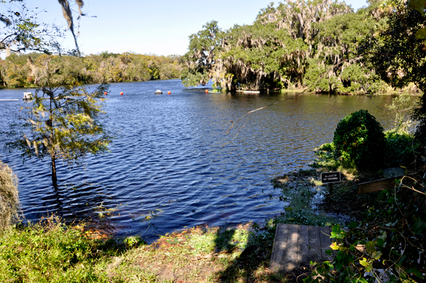 St. Johns River scenery