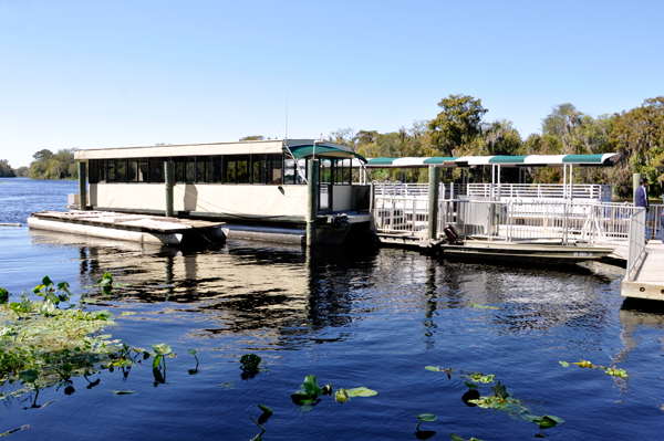 the cruise boats