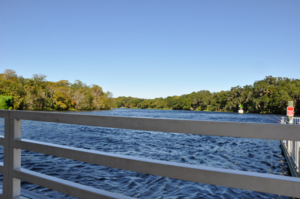 St. Johns River scenery