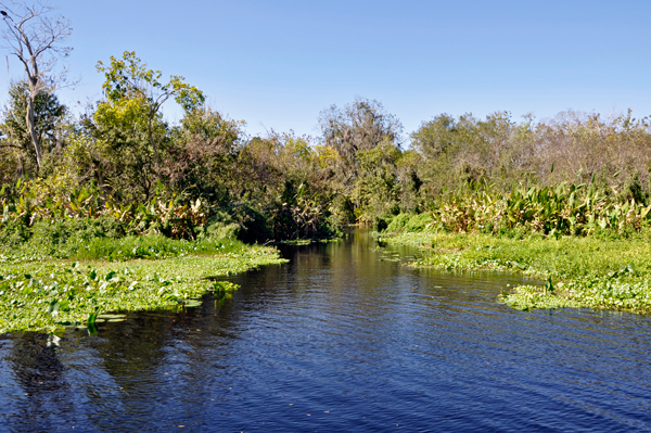 an inlet on the St. Johns River