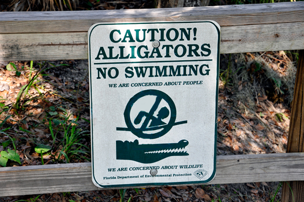 sign: Alligators