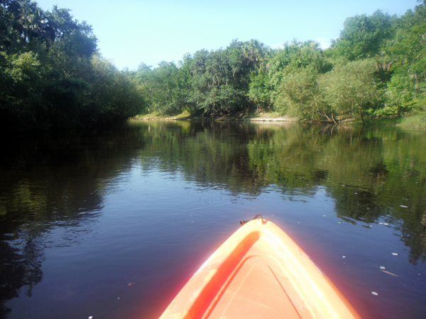 kayaking Peace River